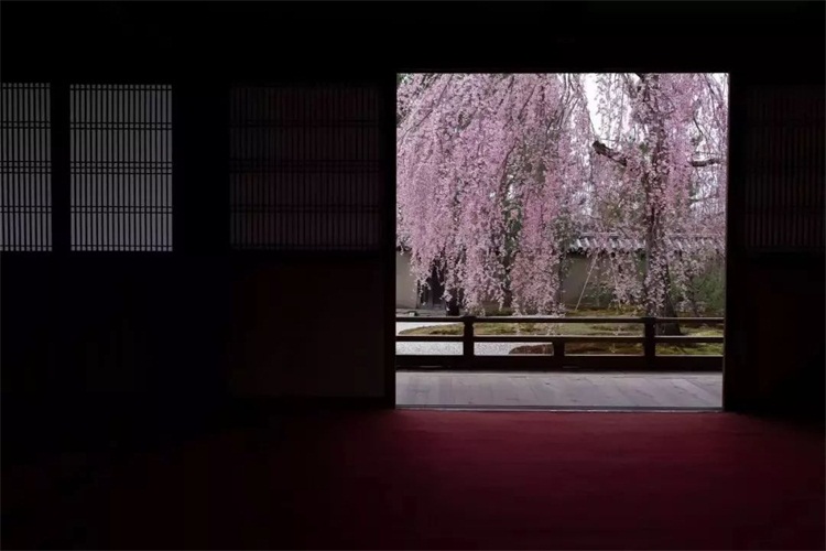 酒店空間設(shè)計效果圖